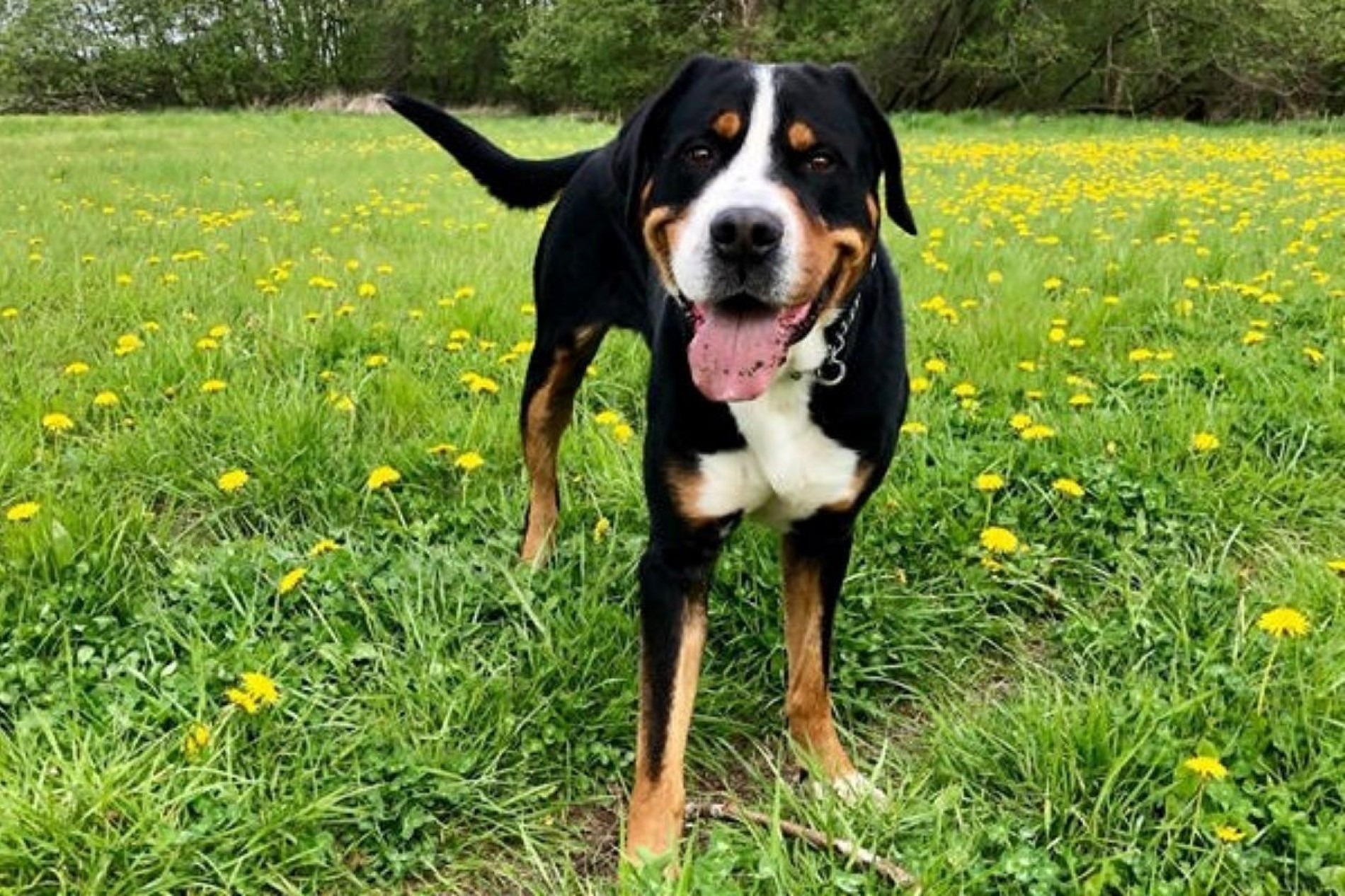 7fa166a2b2df4fa395d737020b9666a5