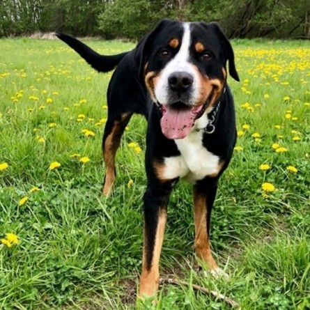 7fa166a2b2df4fa395d737020b9666a5