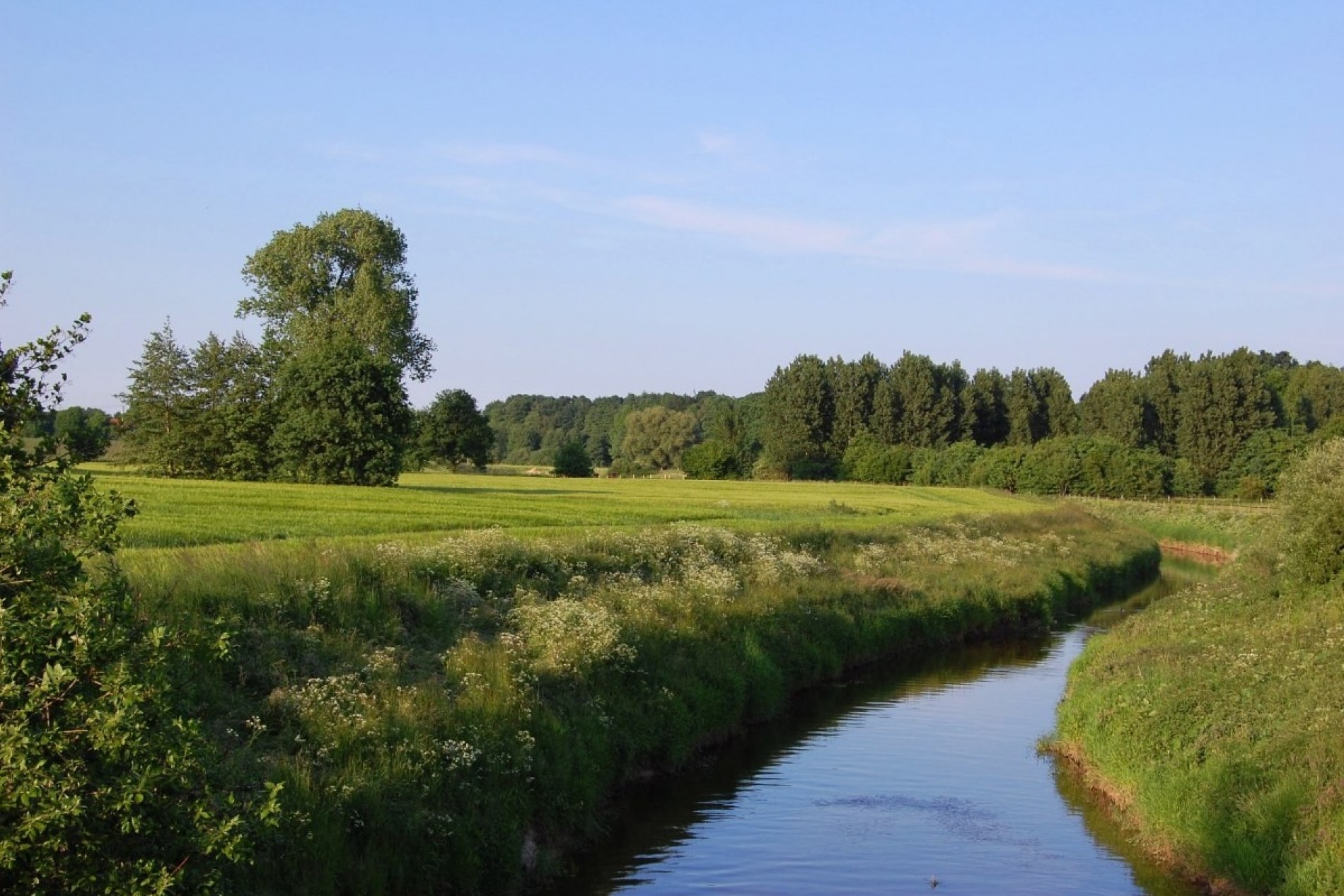 Natur pur im Münsterland