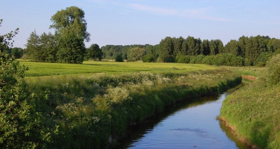 Natur pur im Münsterland