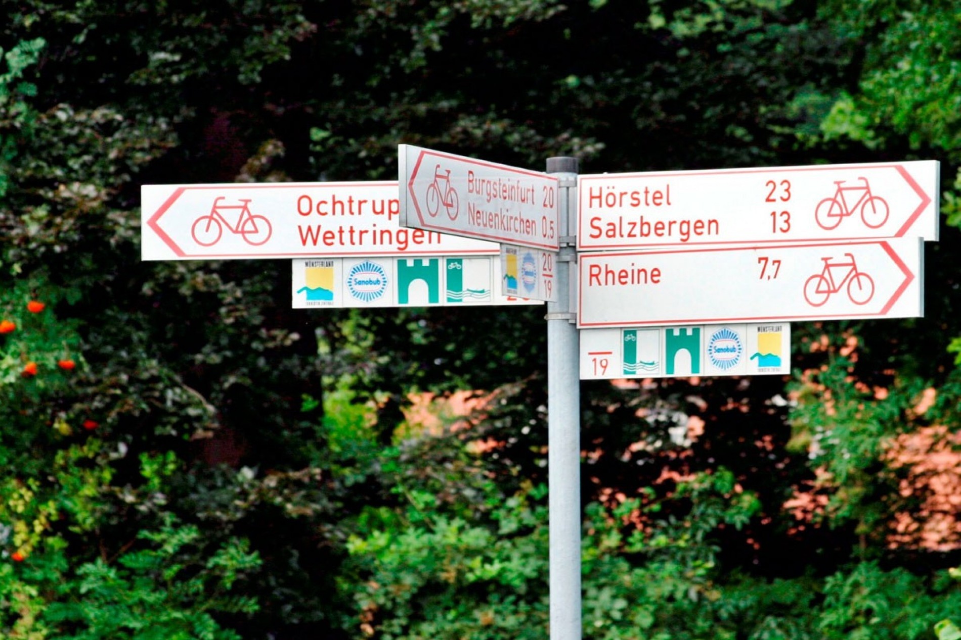 Radwandern im Münsterland